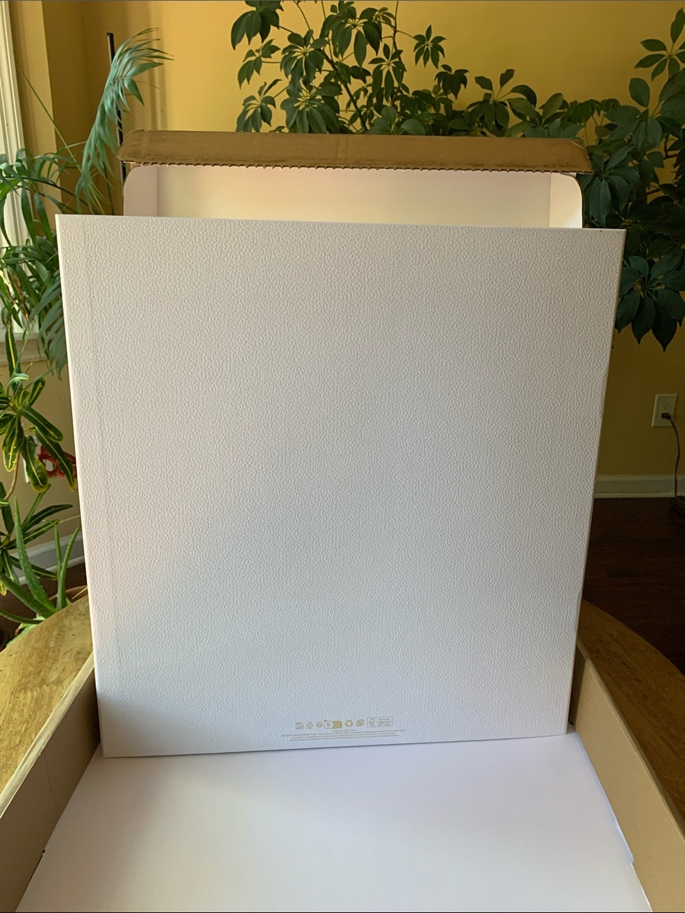DIOR Gift box - large - Picture 4 of 9